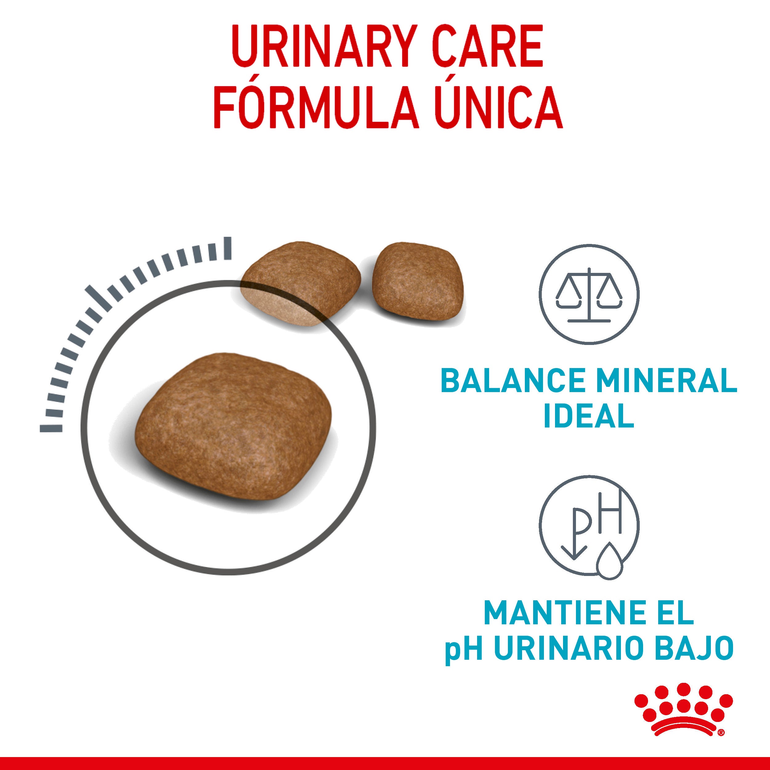 Royal Canin Urinary Care para Gato Kg - Alimento para Gato Royal Canin Urinary Care para Gato Kg - Alimento para Gato